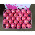 /msite/products/detail/productid/54855568/id/542998.html